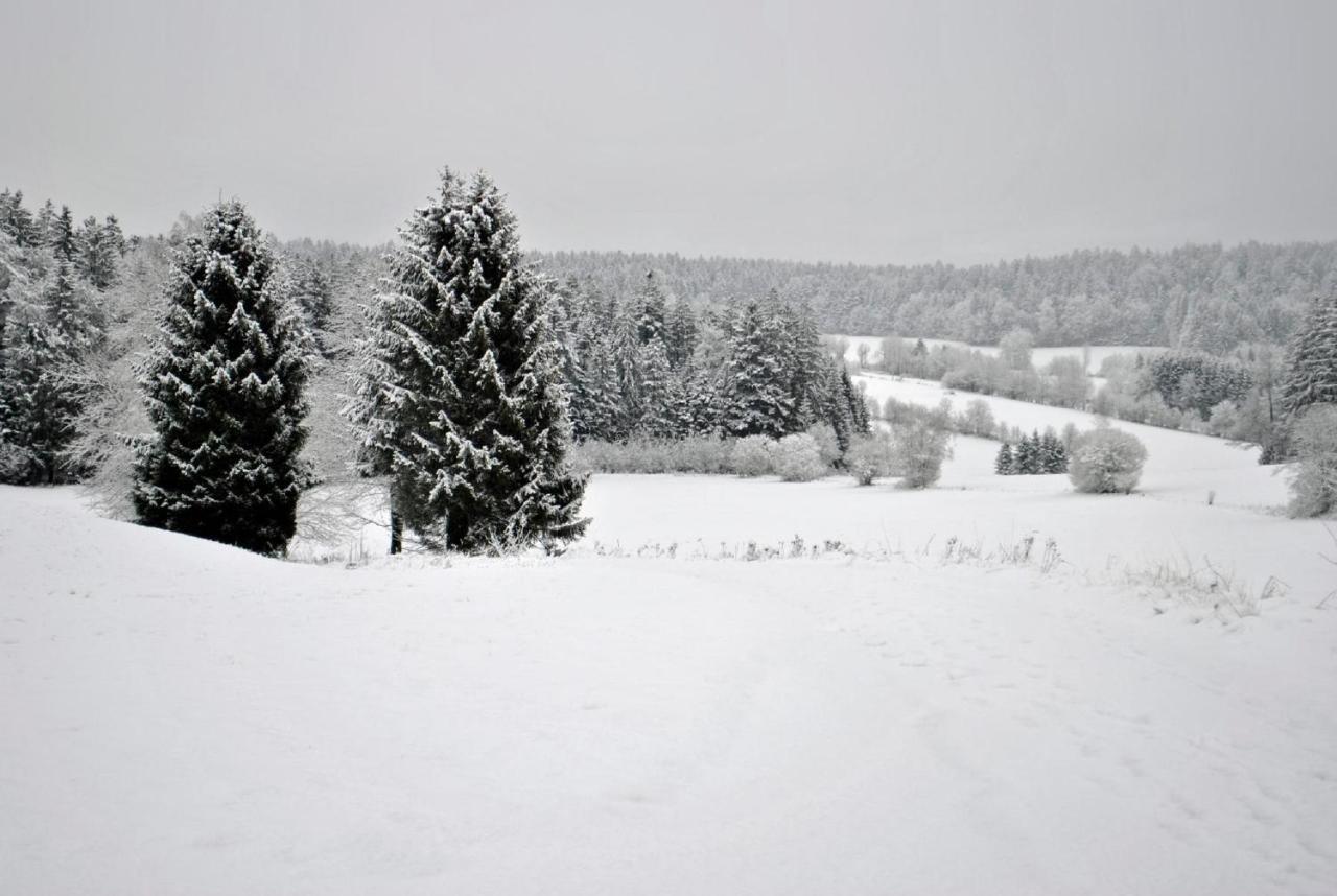 Апартаменты Fewo Radi An Der Buchberger Leite Hohenau Экстерьер фото